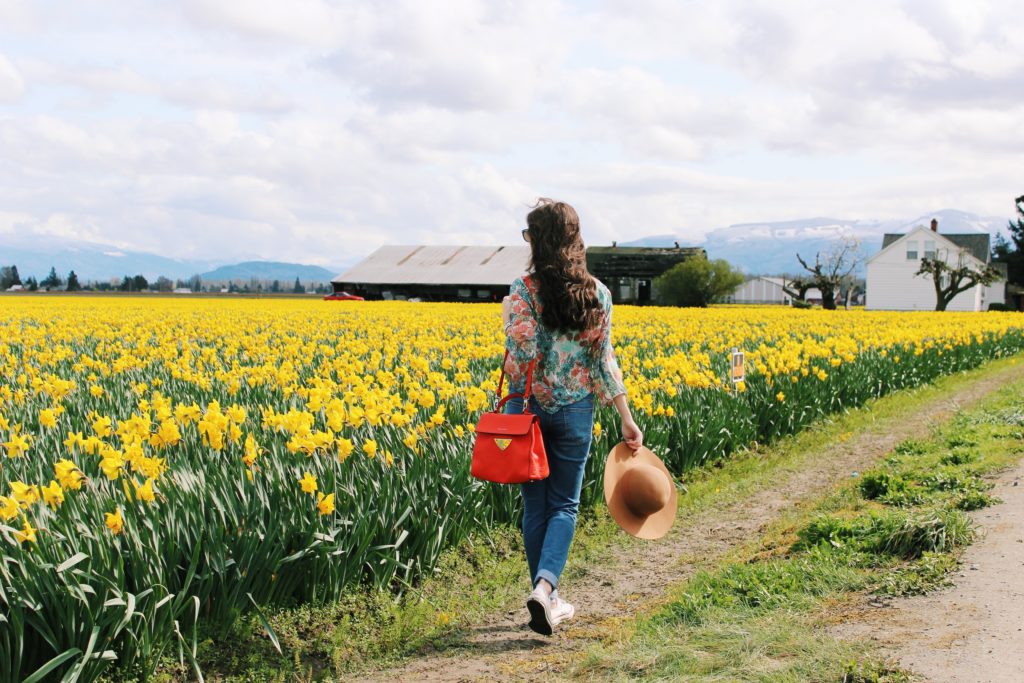 skagit_tulip_festival_seattle