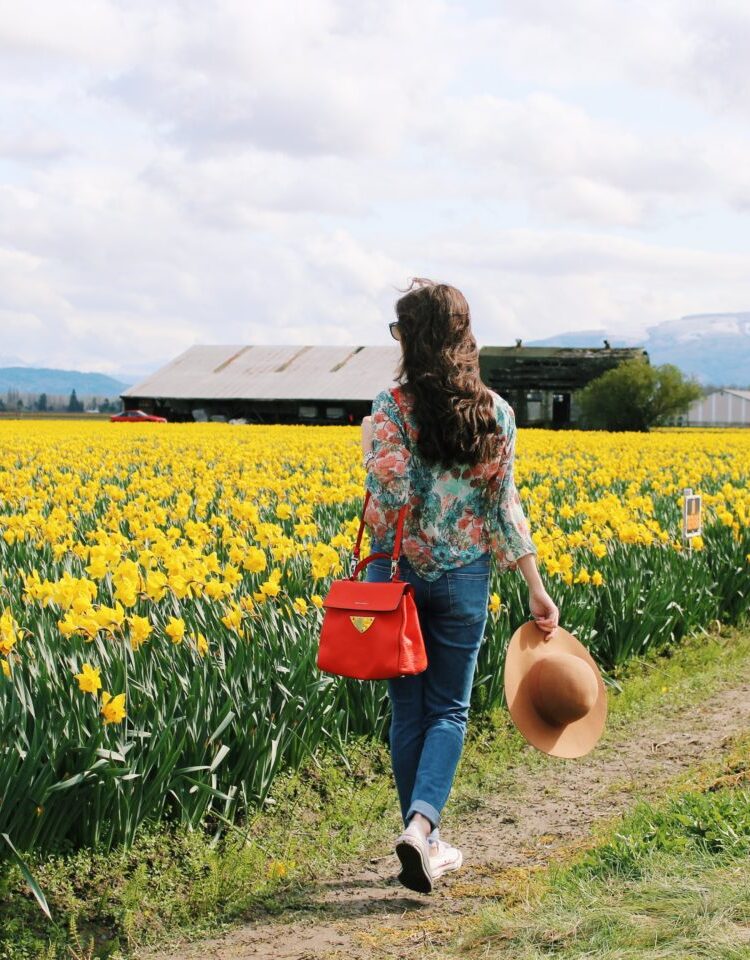 skagit_tulip_festival_seattle