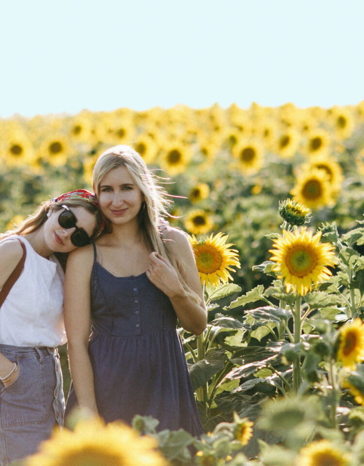 Visiting the Davis Sunflower Fields