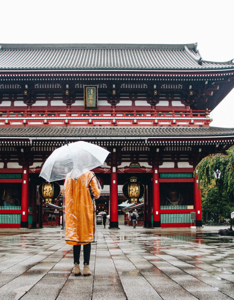 48 Hours in Tokyo, Japan