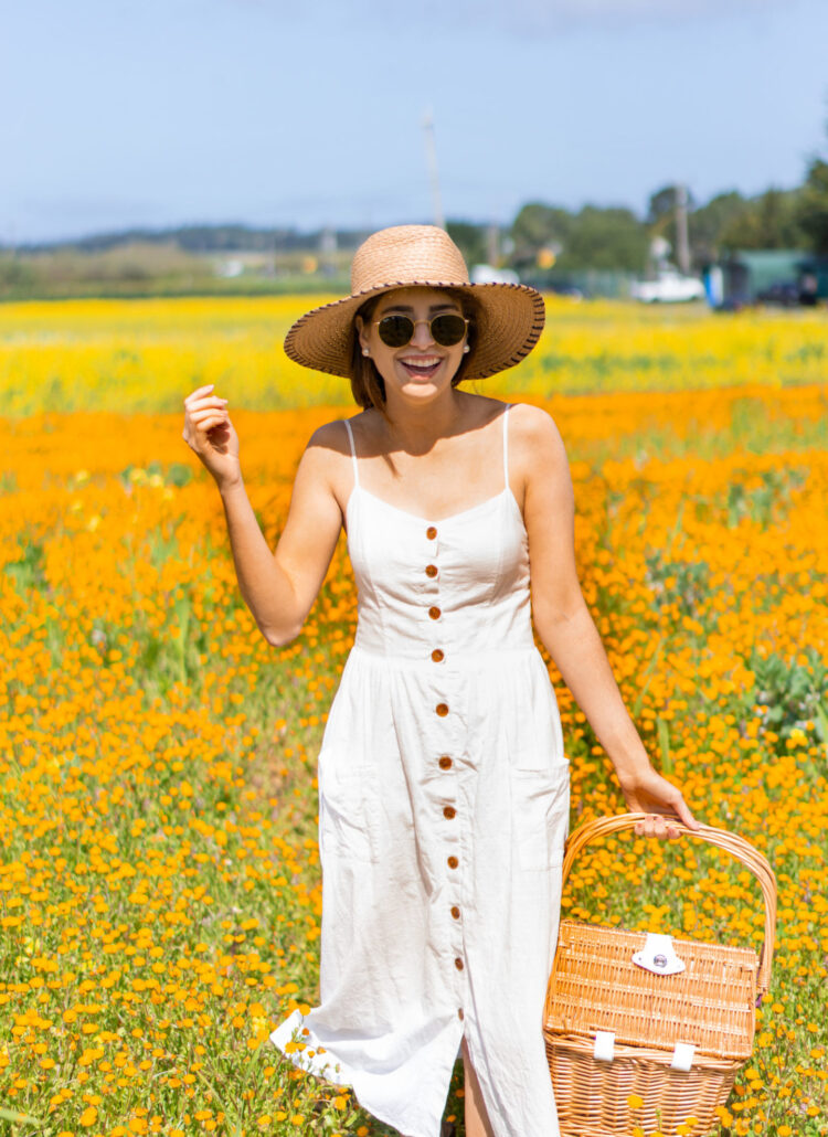 Where to find the flower fields in Northern California