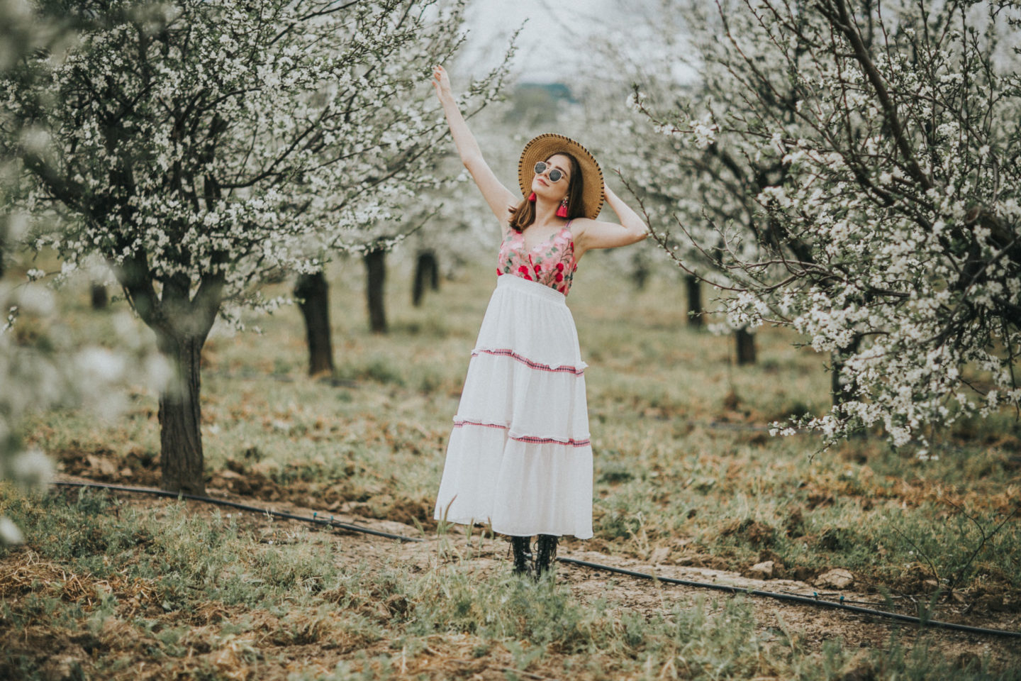 Sacramento almond blossoms - Palm Trees and Pellegrino California travel tips