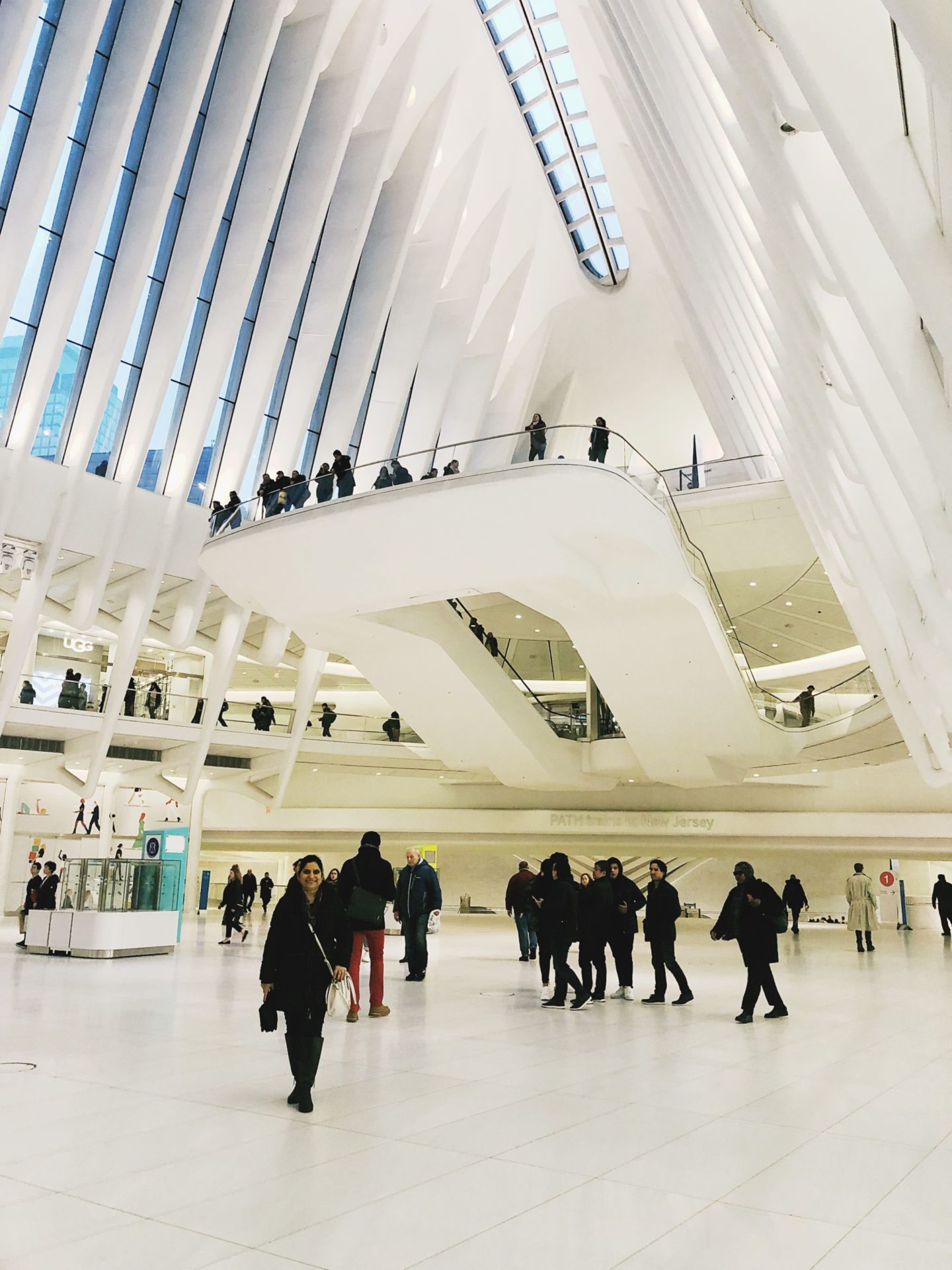 5 Hour Layover in New York City – Palm Trees & Pellegrino