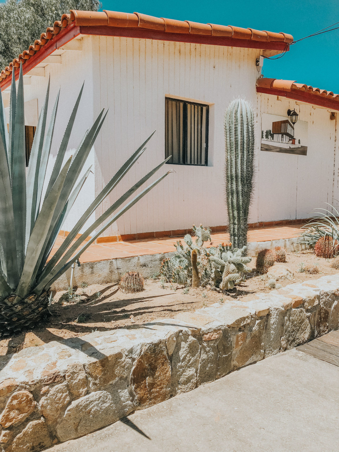 valle_de_guadalupe_viña_frannes