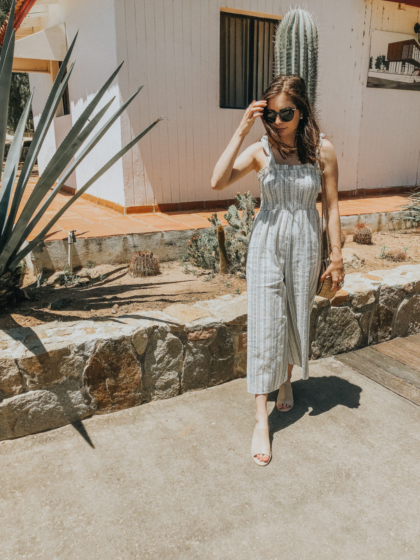 San Diego Getaway: Valle de Guadalupe, Mexico - Palm Trees & Pellegrino