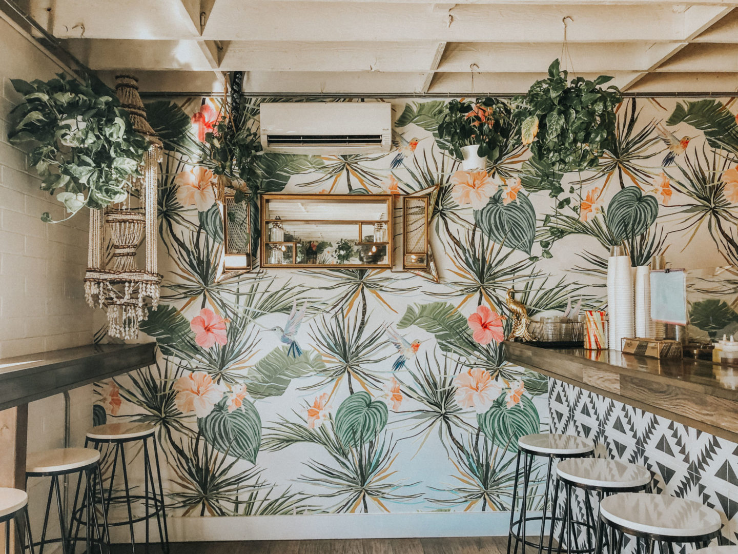 15 Most Instagrammable Coffee Shops in San Diego, CA