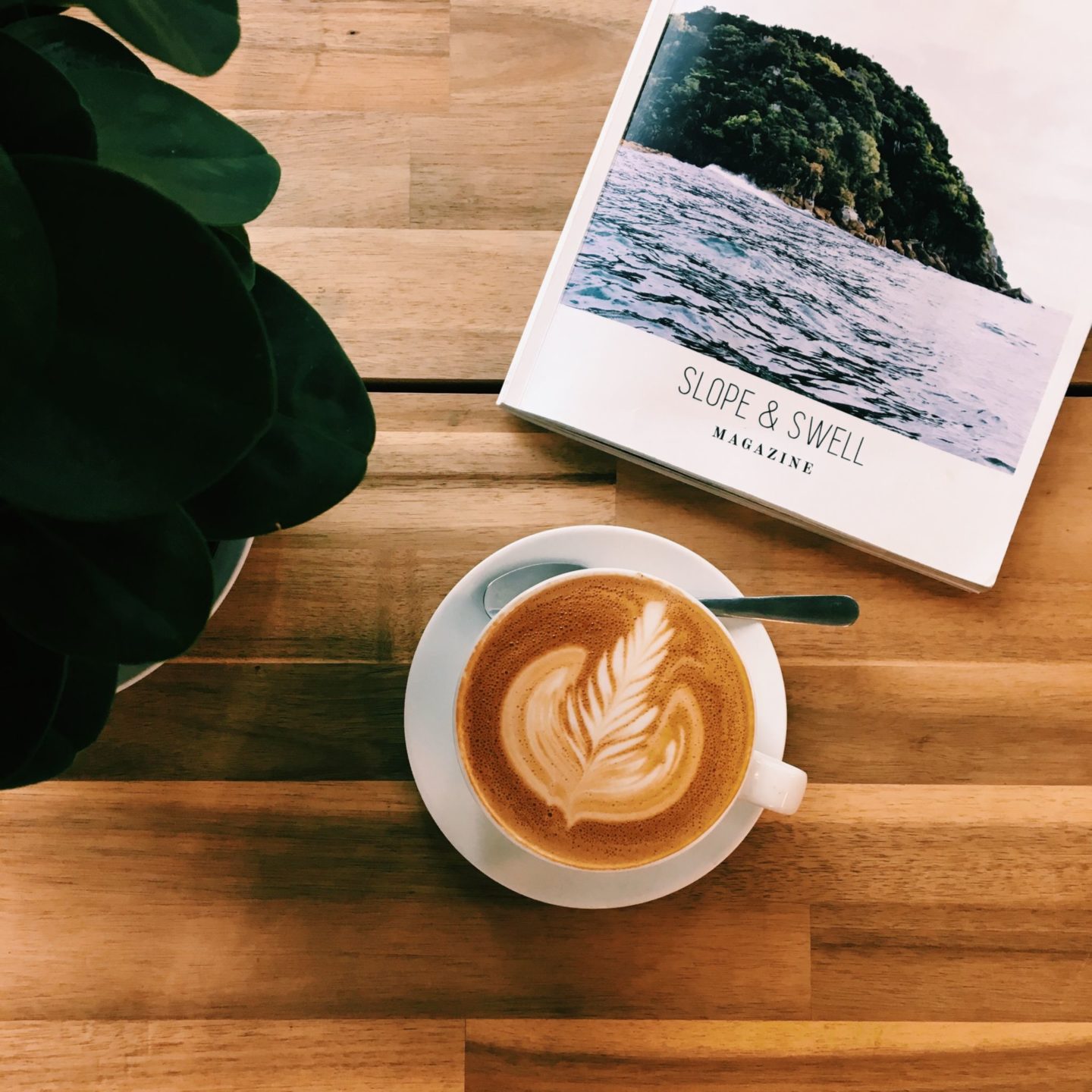 san_diego_coffee_guide