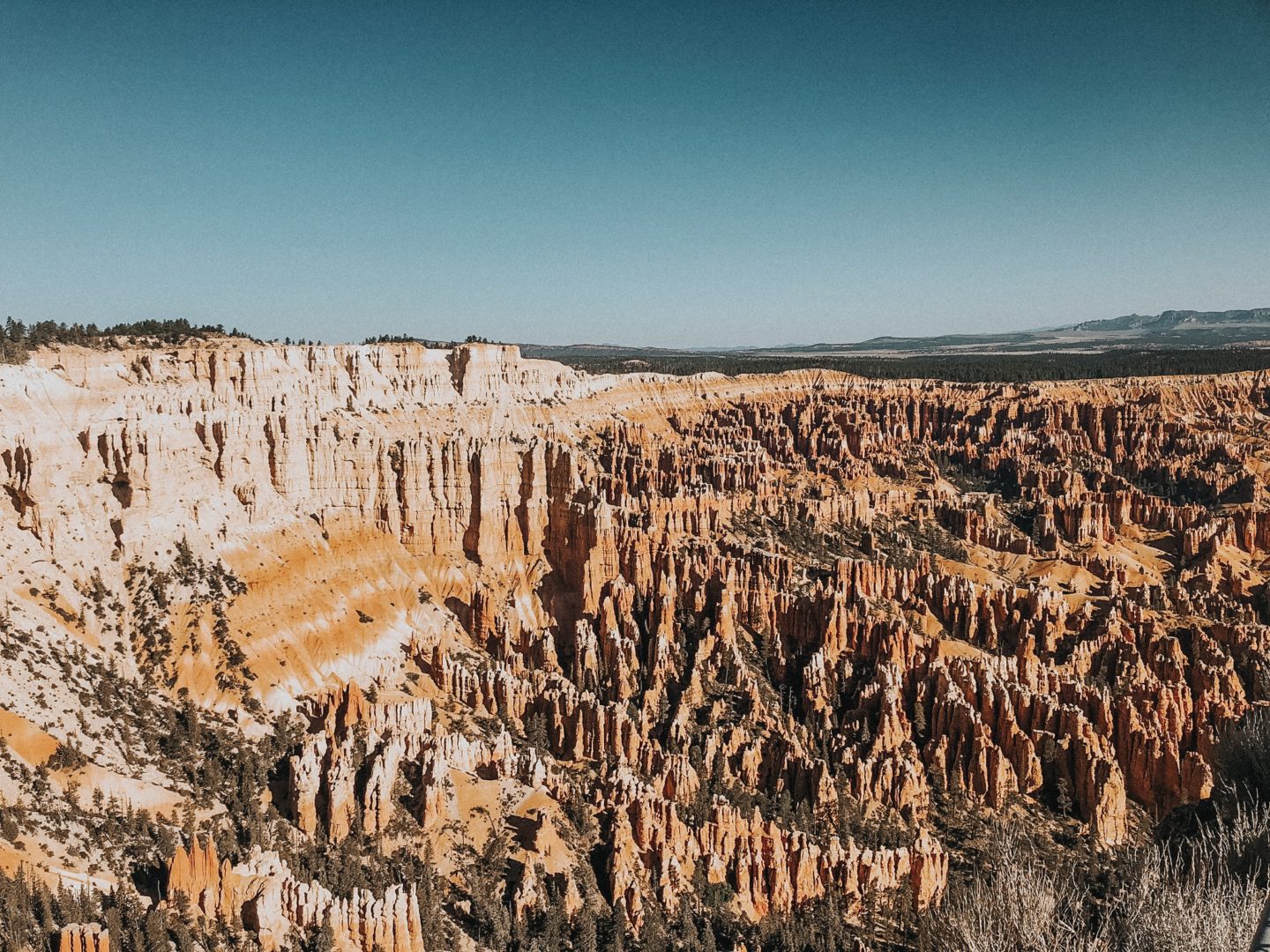 usa_cross_country_road_trip_bryce_canyon