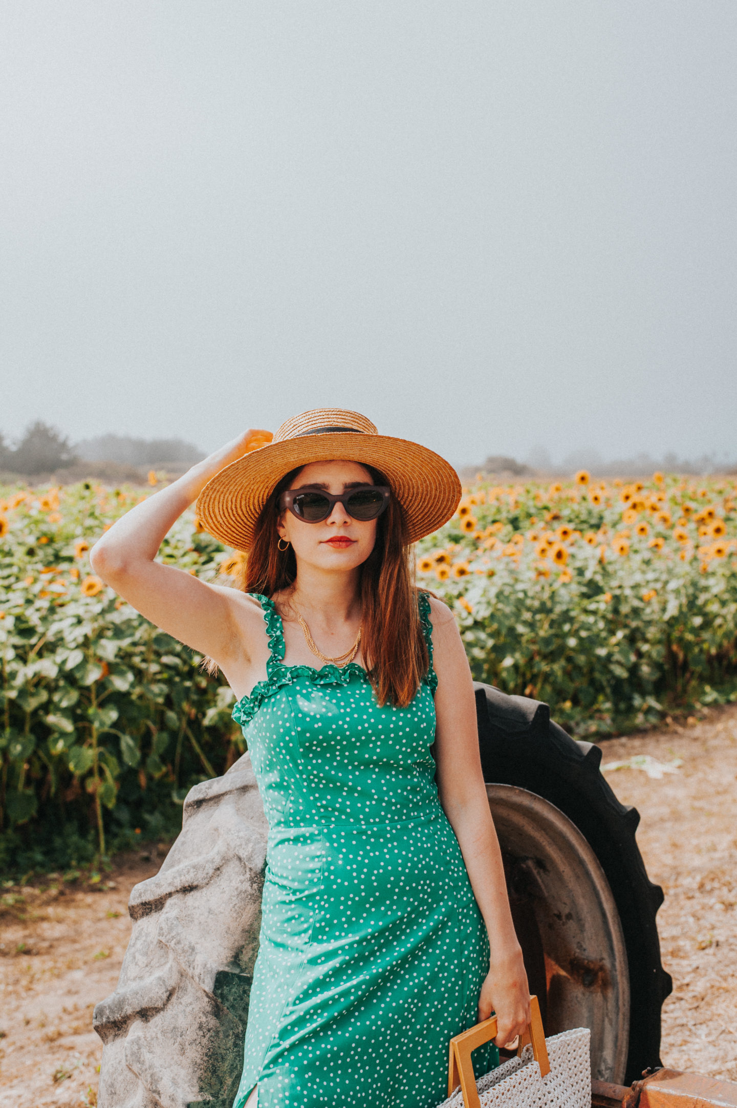 half_moon_bay_sunflowers