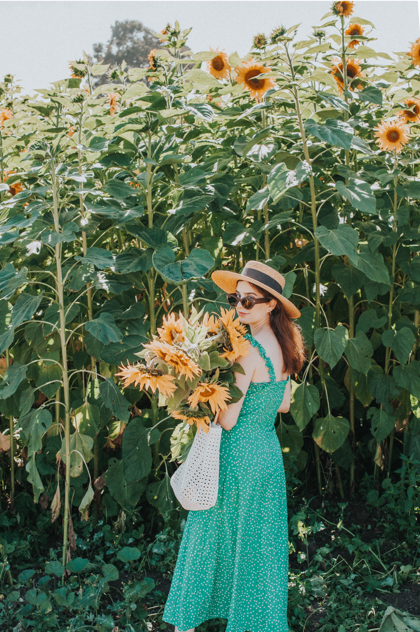 Half Moon Bay U Pick sunflower fields - Palm Trees and Pellegrino California travel tips