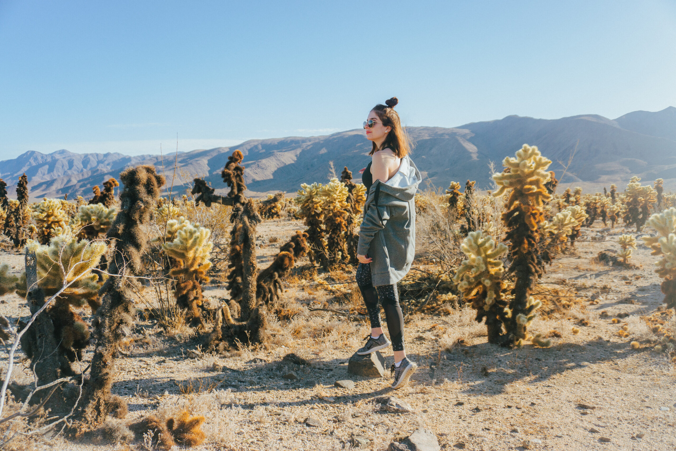 Weekend in Joshua Tree – Where to Stay, What to Do, & Where to Eat
