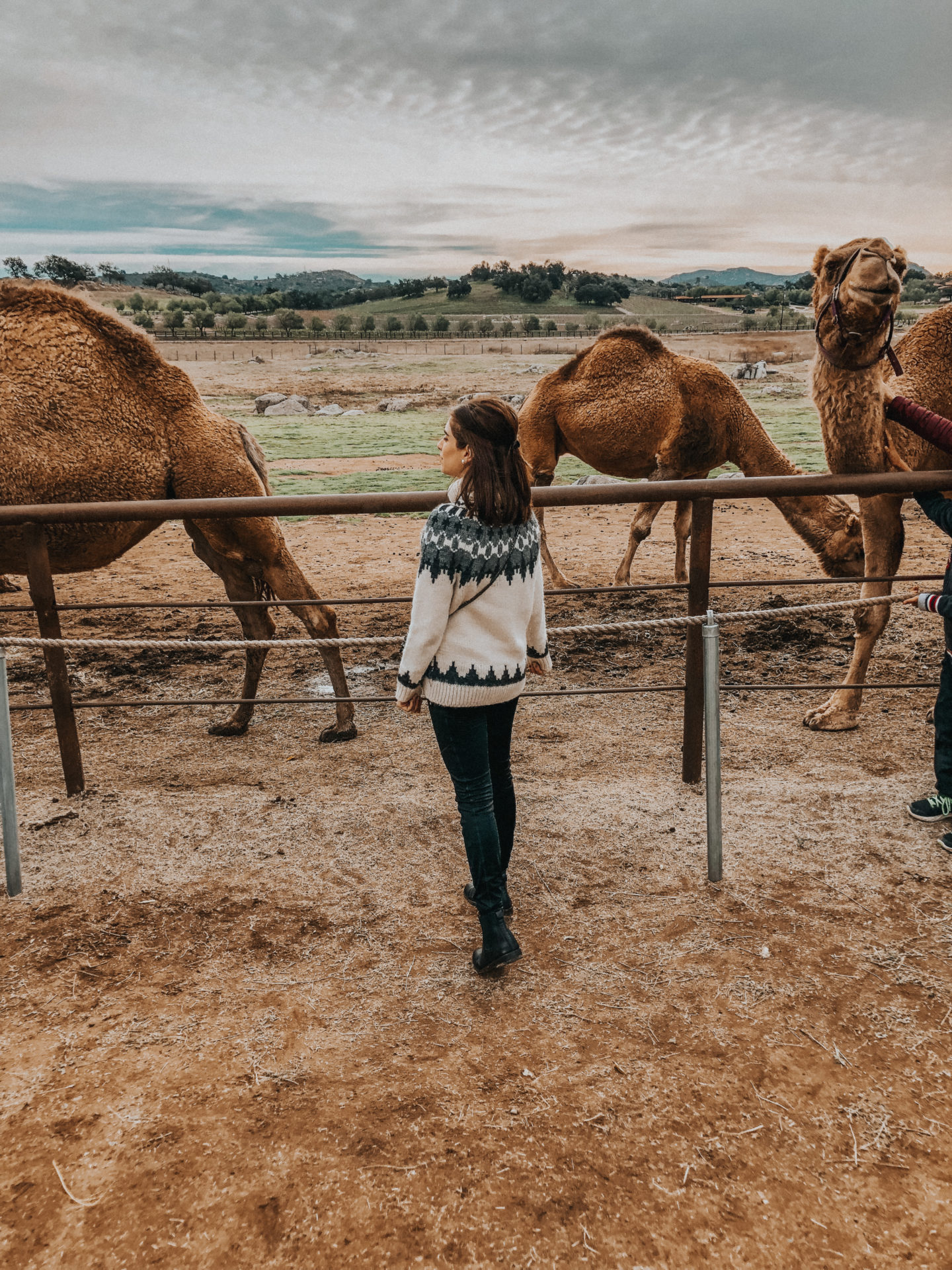 camel_farm_julian