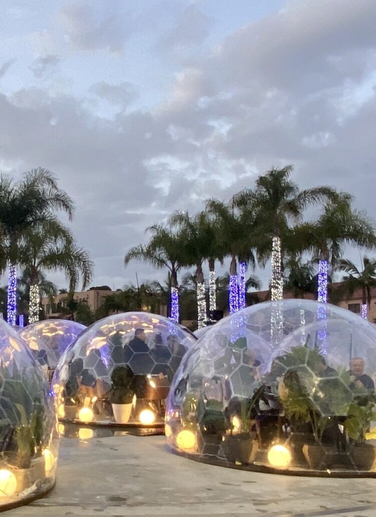 Dinner With a View in San Diego, CA