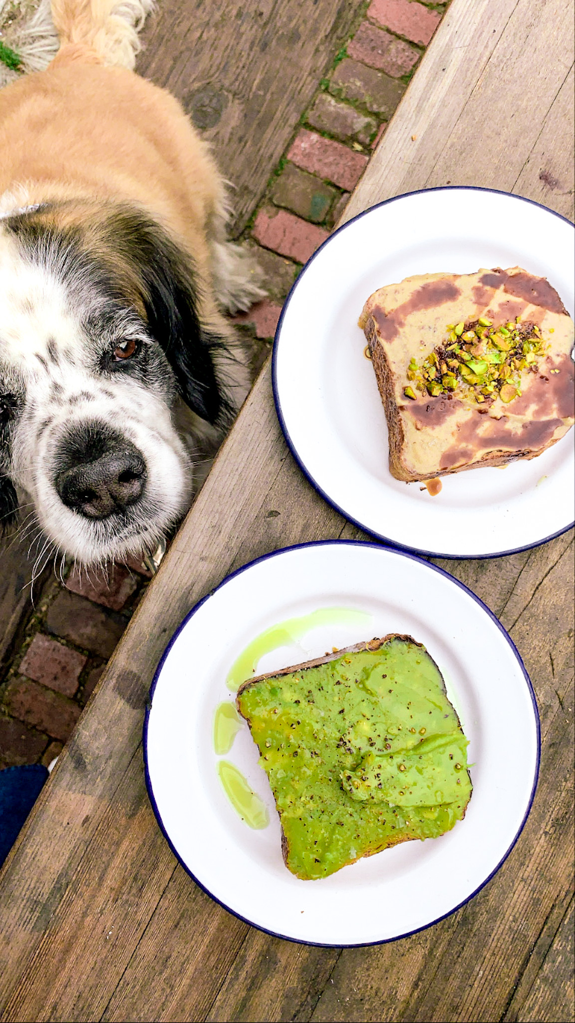 Best Avocado Toast in San Francisco, CA