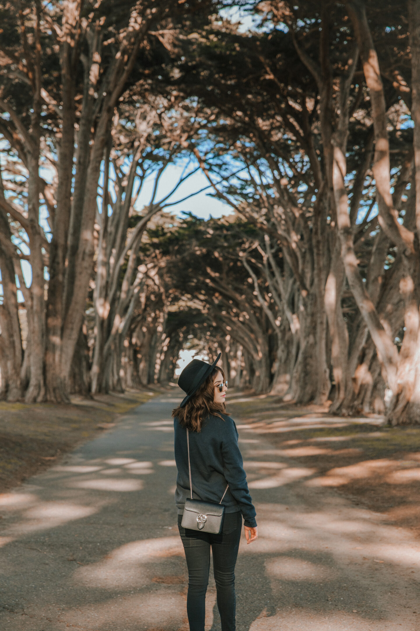 cypress_tree_tunnel