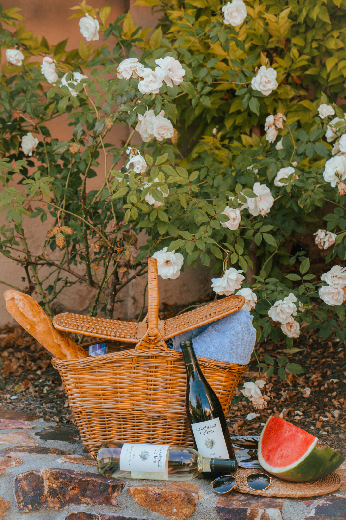 san_diego_picnic_balboa_park