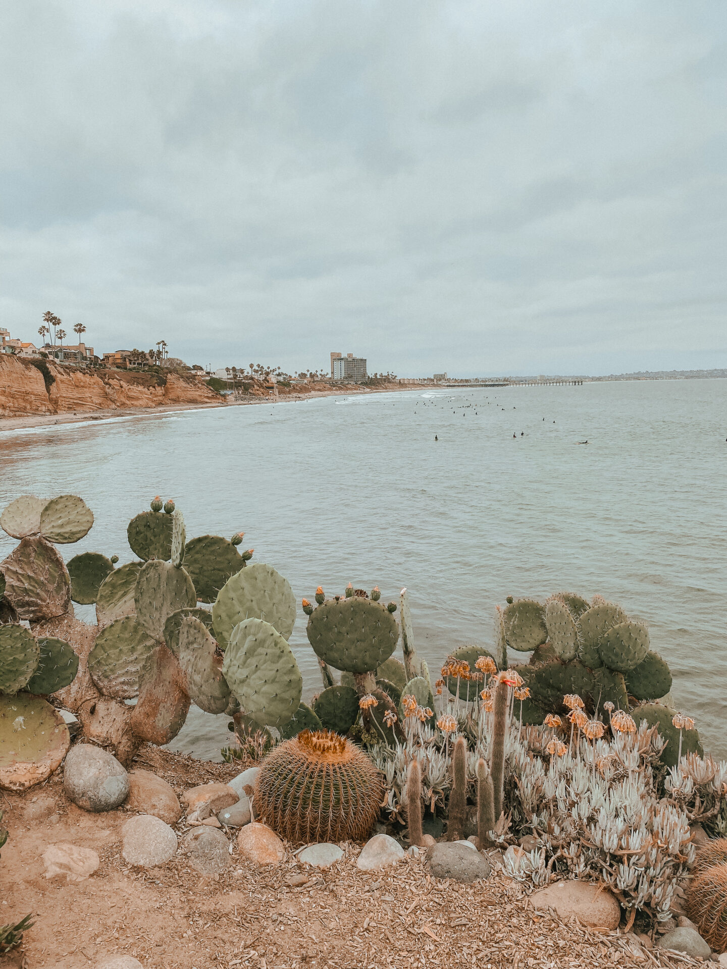 la jolla trip