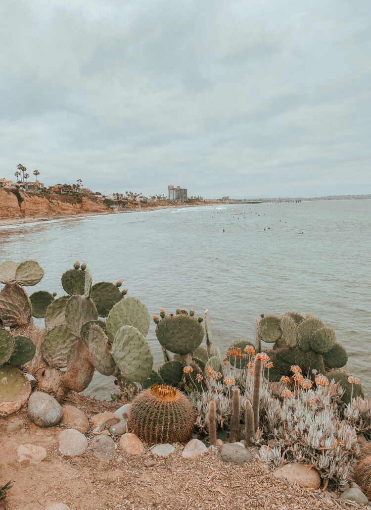 Day Trip to La Jolla, CA Itinerary