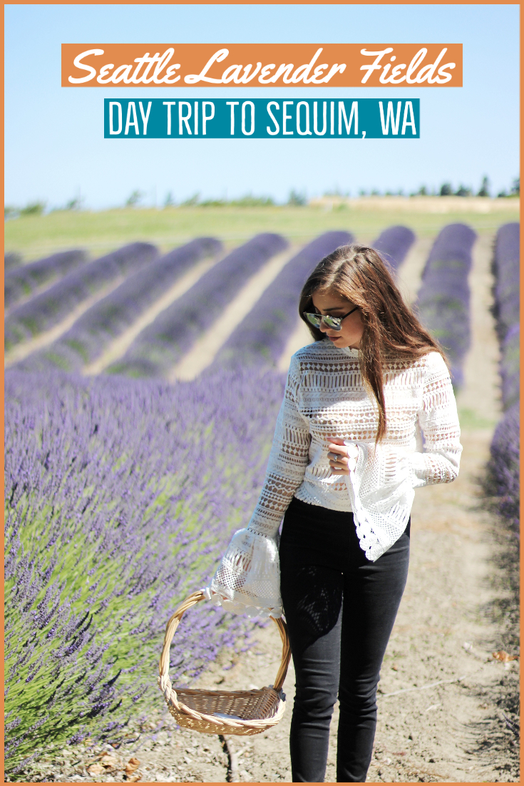 seattle_lavender_fields