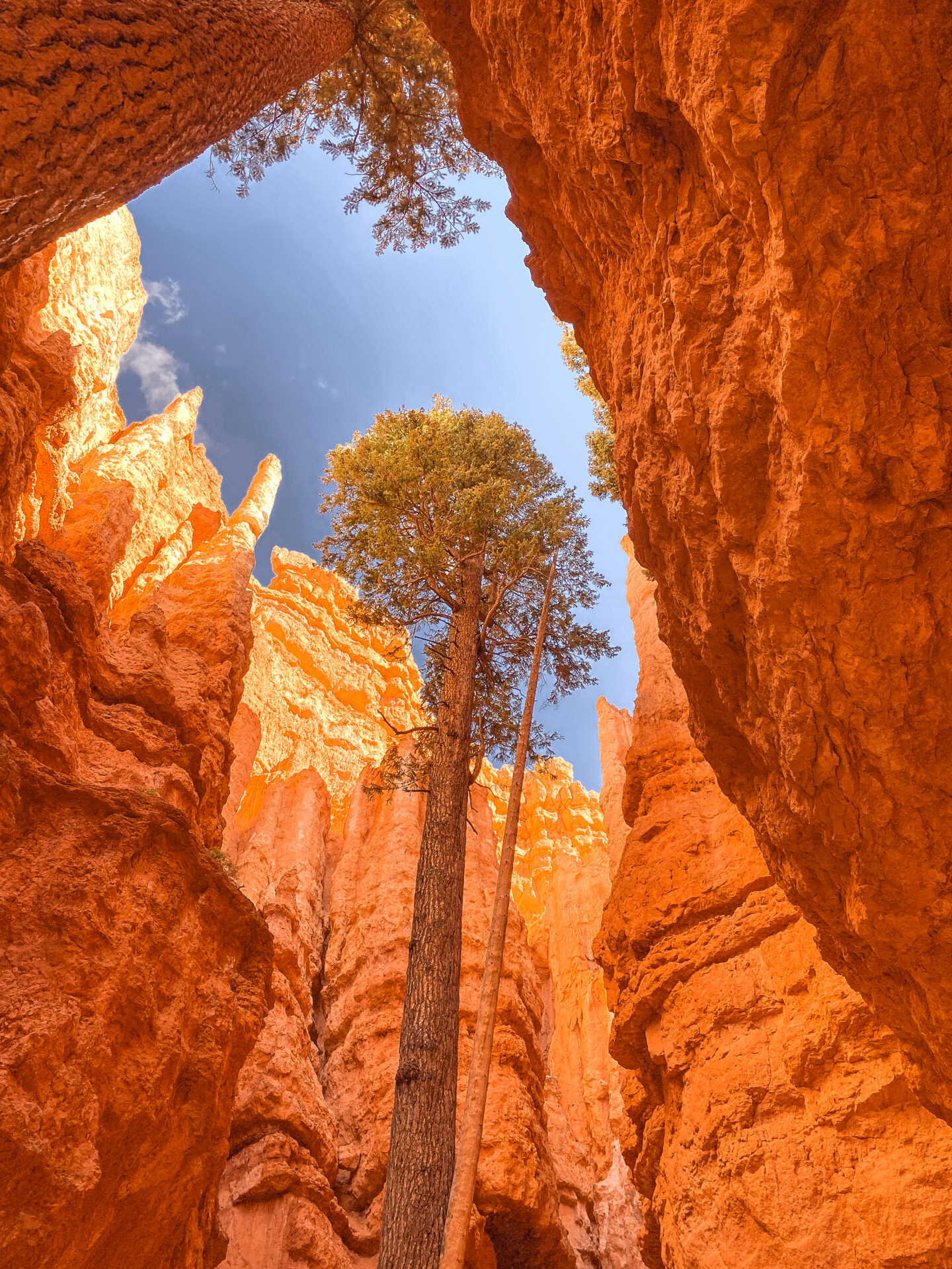 wall_street_bryce_canyon