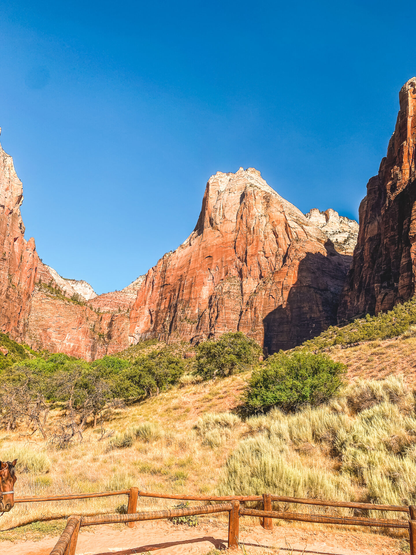 zion_national_park