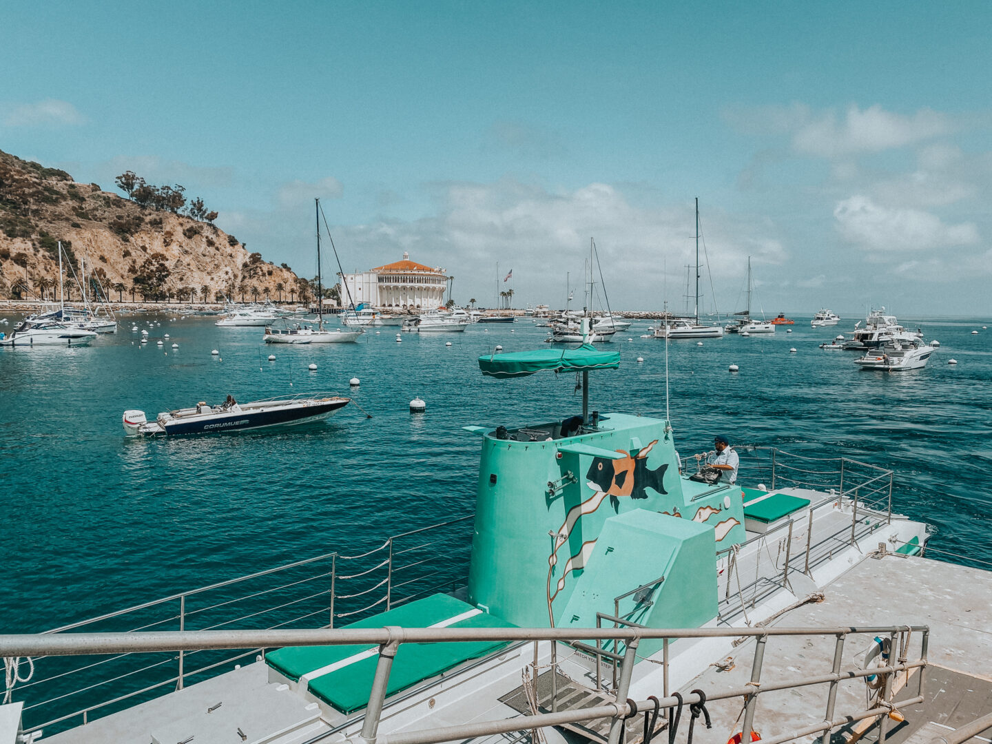 Things to do on Catalina Island