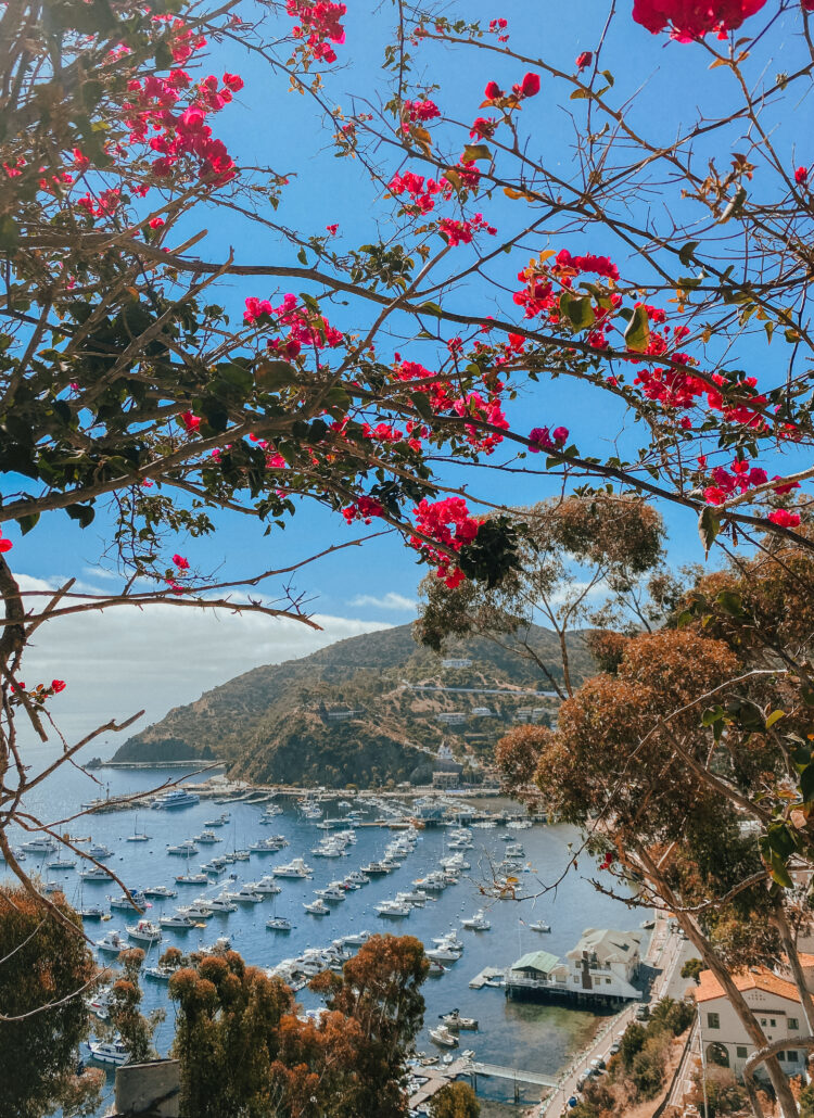 catalina_island_weekend_itinerary