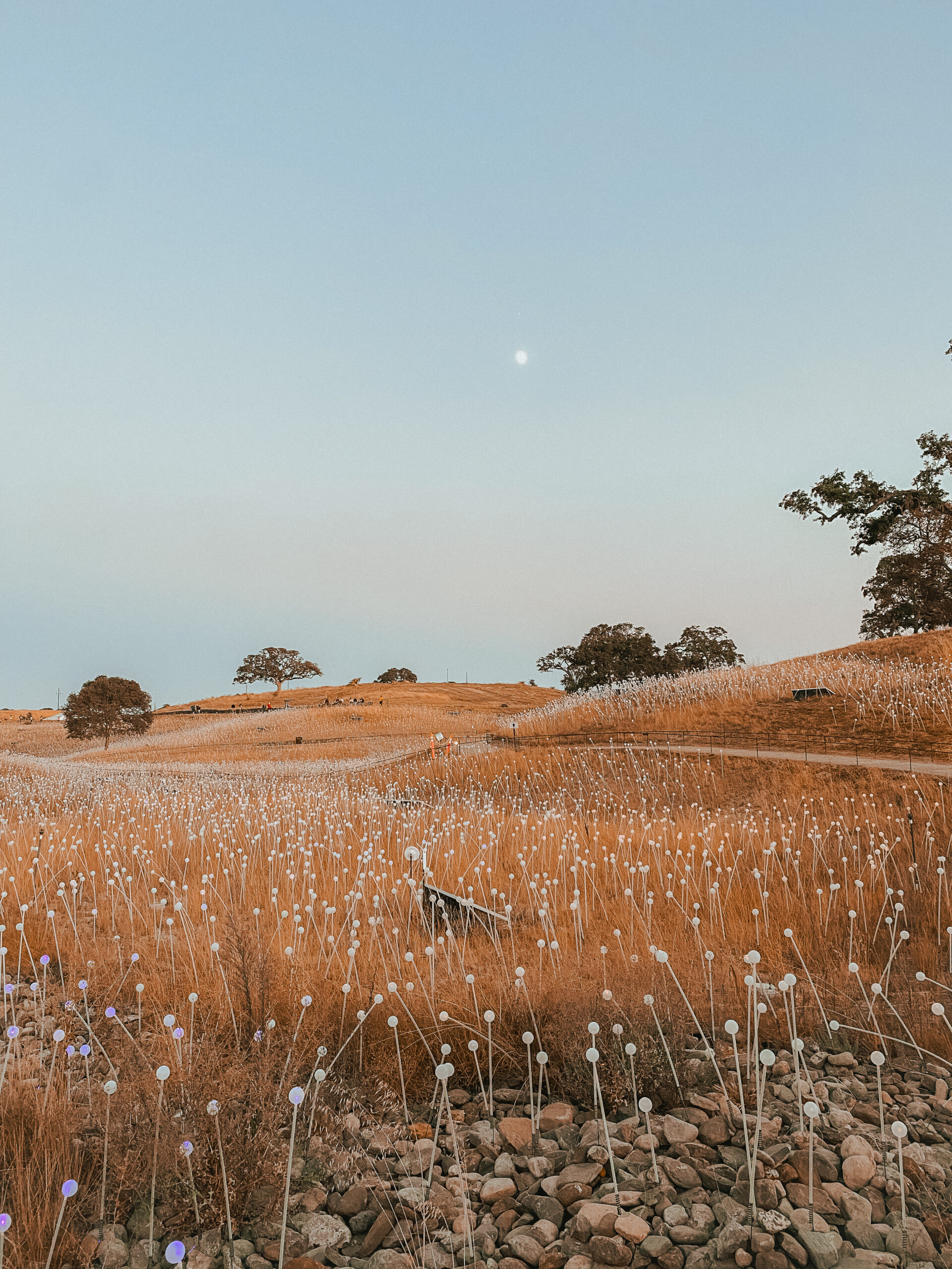 Bay Area Weekend Itinerary: Your Itinerary for visiting Paso Robles