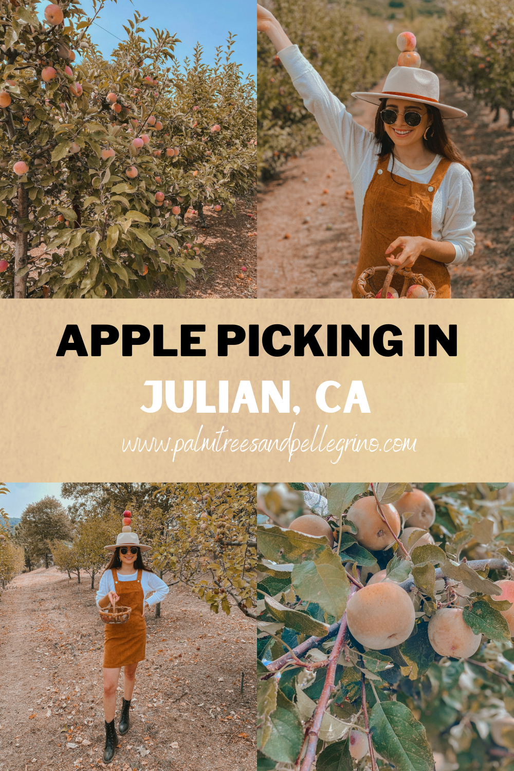 Volcan Valley Apple Farm