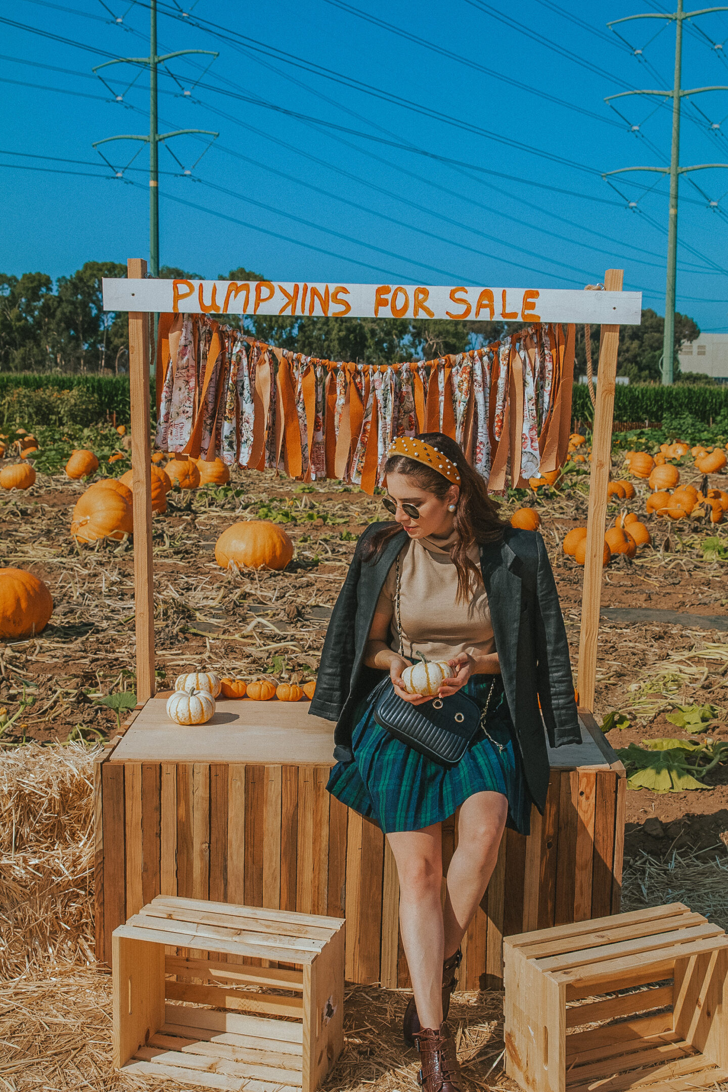 6 Things to do in Carlsbad, California - Palm Trees & Pellegrino. Carlsbad pumpkin patch, San Diego fall activities, San Diego pumpkin patch.