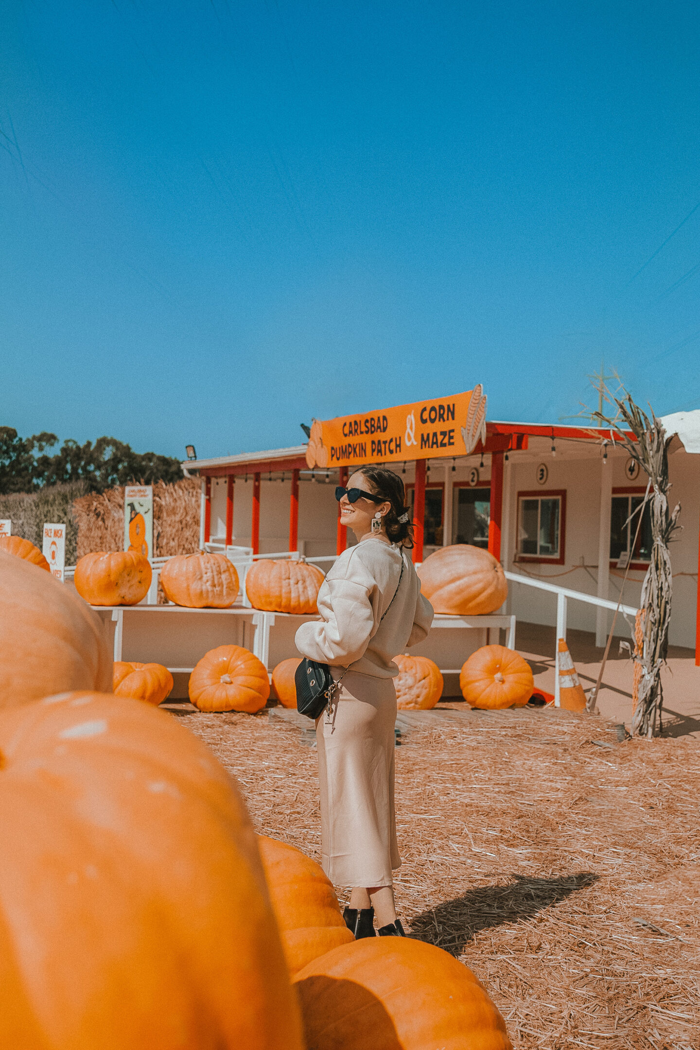 6 Things to do in Carlsbad, California - Palm Trees & Pellegrino. Carlsbad pumpkin patch, San Diego fall activities, San Diego pumpkin patch.