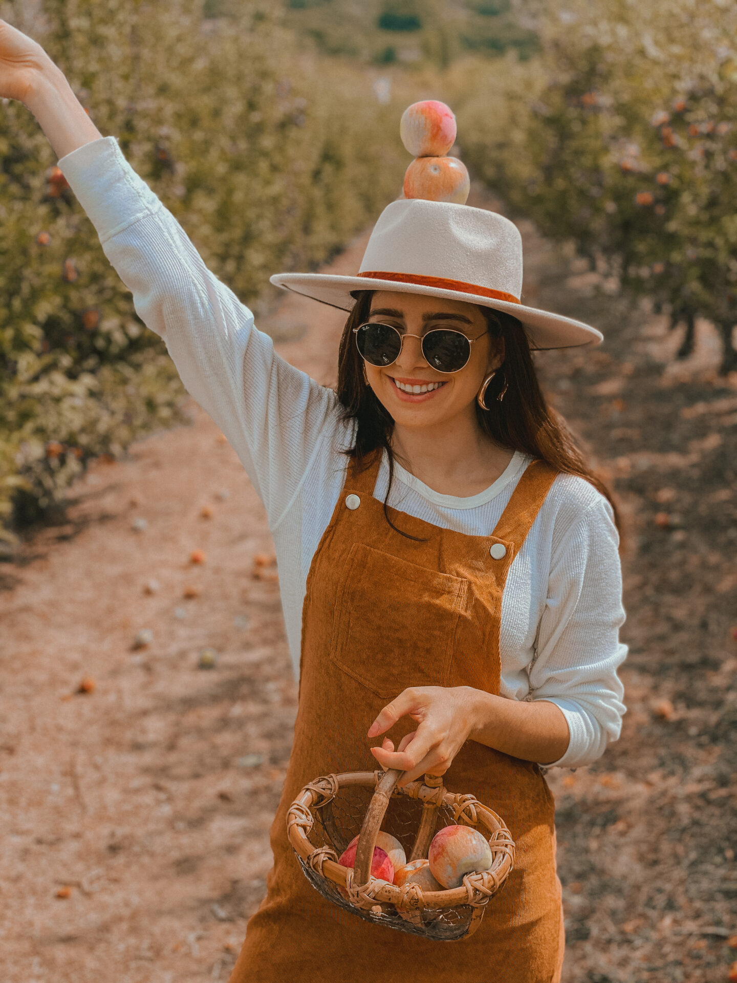 Everything You Need To Know For Going Apple Picking In Julian, CA