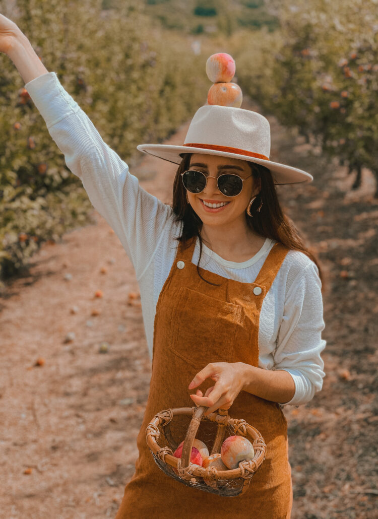 Everything You Need To Know For Going Apple Picking In Julian, CA