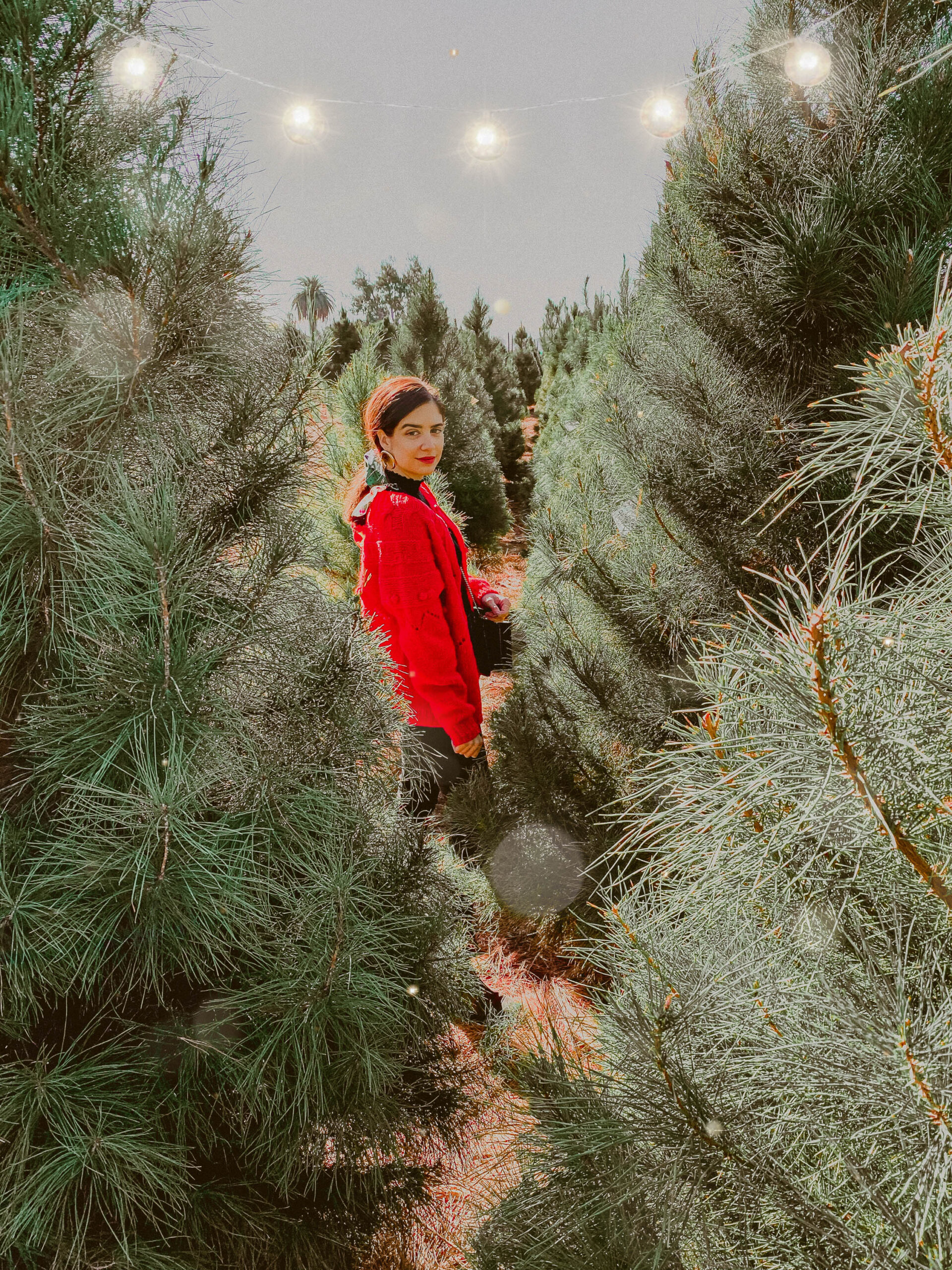 Christmas Tree Farm Photoshoot woman wearing red sweater - 5 Creative Christmas Photoshoot Ideas to Try This Season