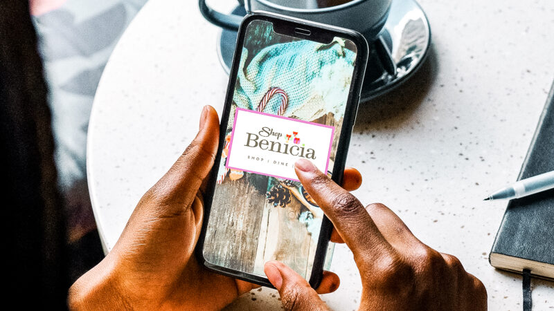 Bay Area Day Trip Ideas: Day Trip to Benicia, CA - Palm Trees & Pellegrino