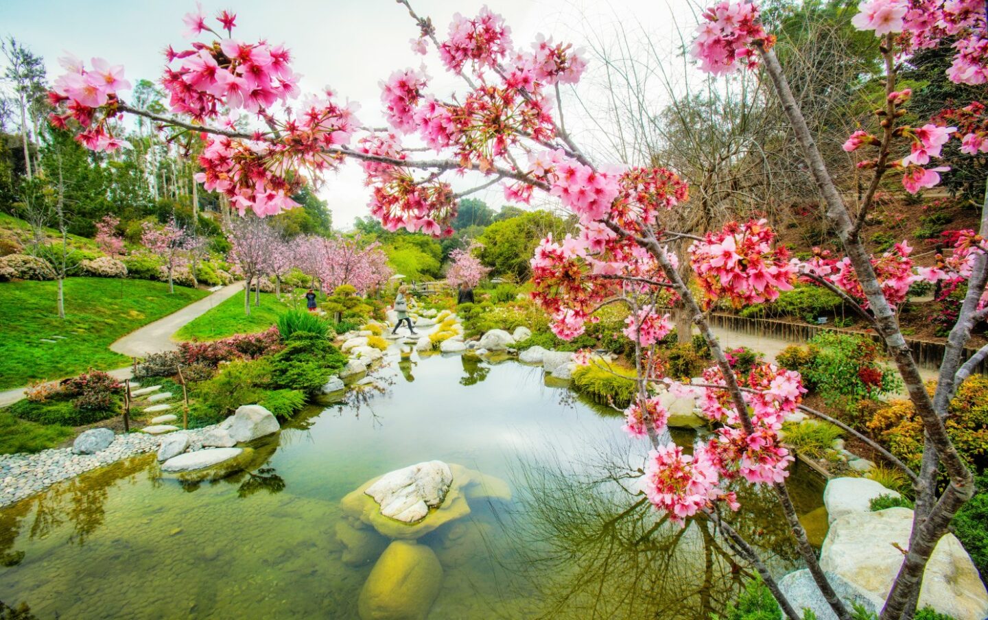 Japanese Friendship Garden Balboa Park San Diego