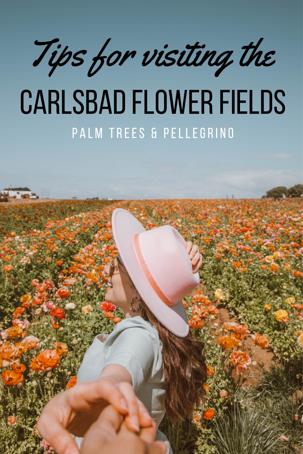 Tips for Visiting the The Carlsbad Flower Fields - Palm Trees and Pellegrino, San Diego things to do, San Diego flower fields