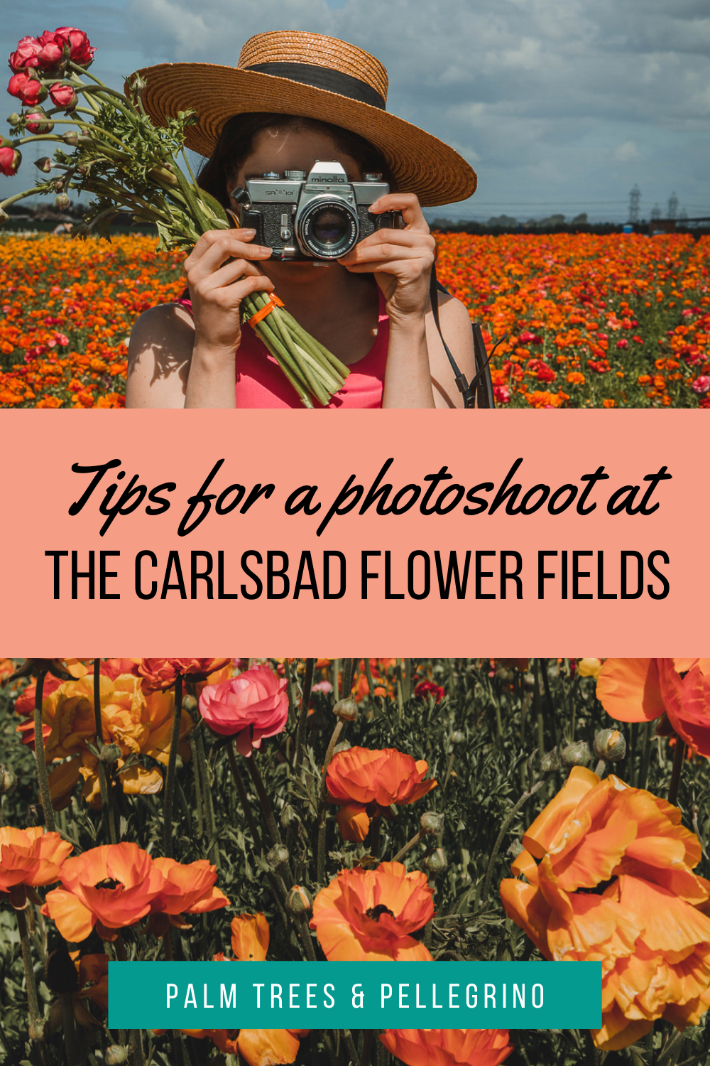 The Carlsbad Flower Fields Photoshoot Tips - Palm Trees and Pellegrino, San Diego things to do, San Diego flower fields