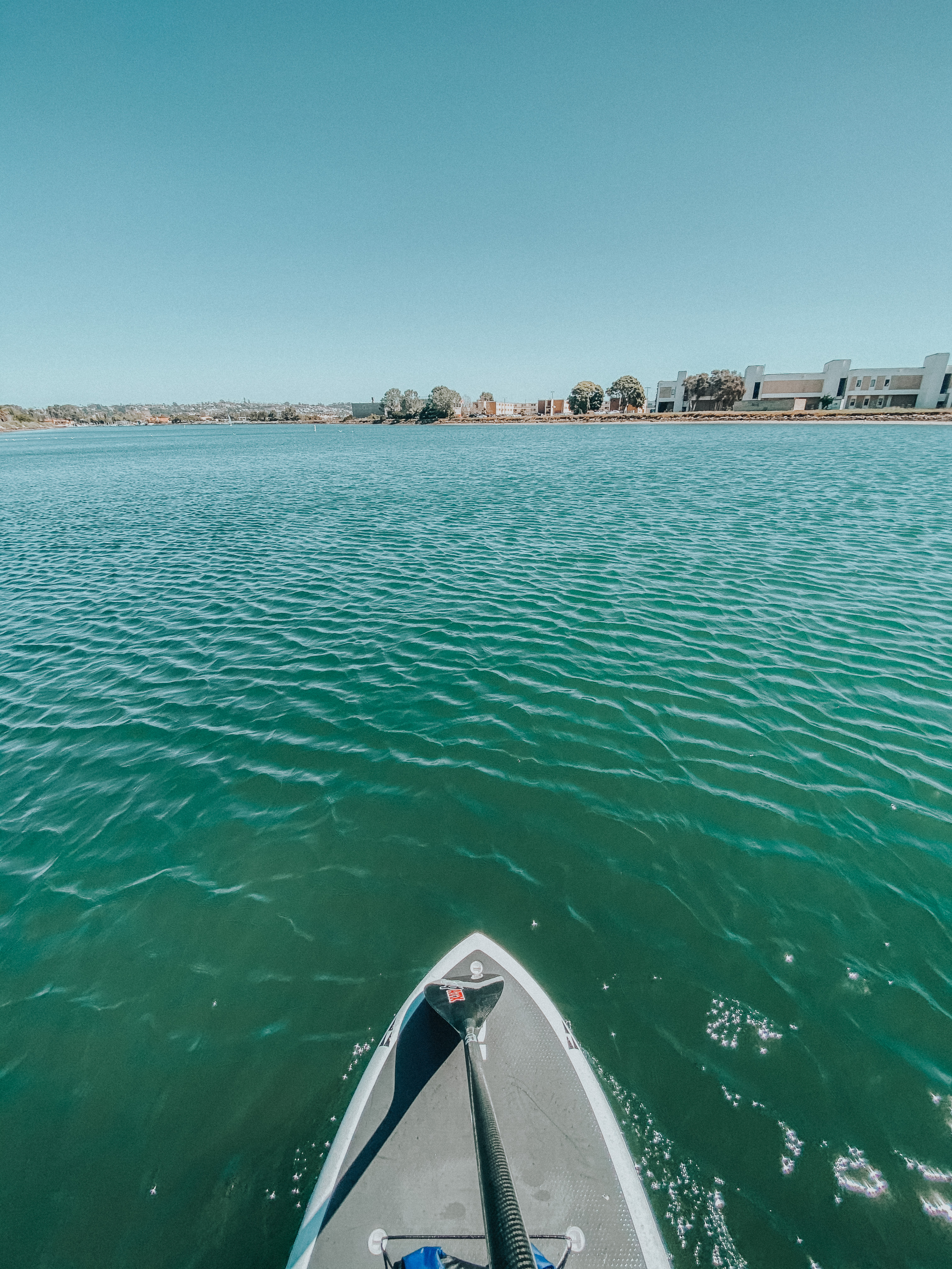 Paddle Boarding @ West Coast Paddle Board Rentals - Palm Trees and Pellegrino San Diego blogger