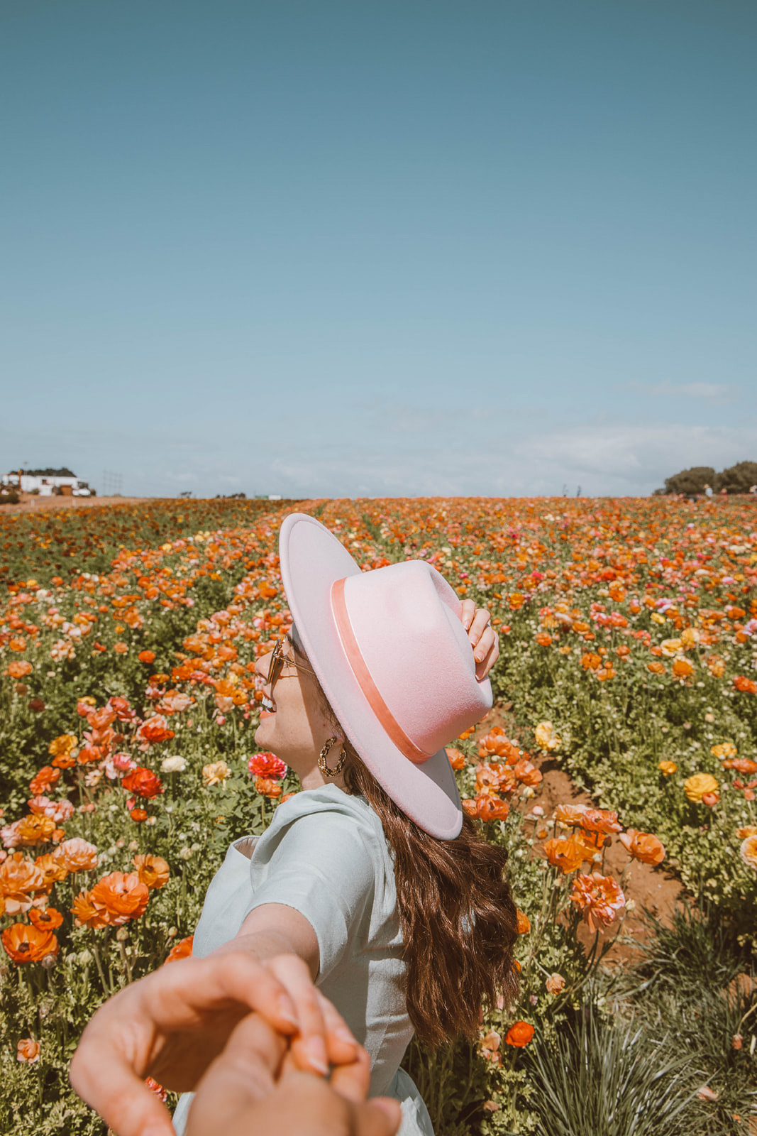 The flower fields in San Diego - Palm Trees and Pellegrino California travel tips