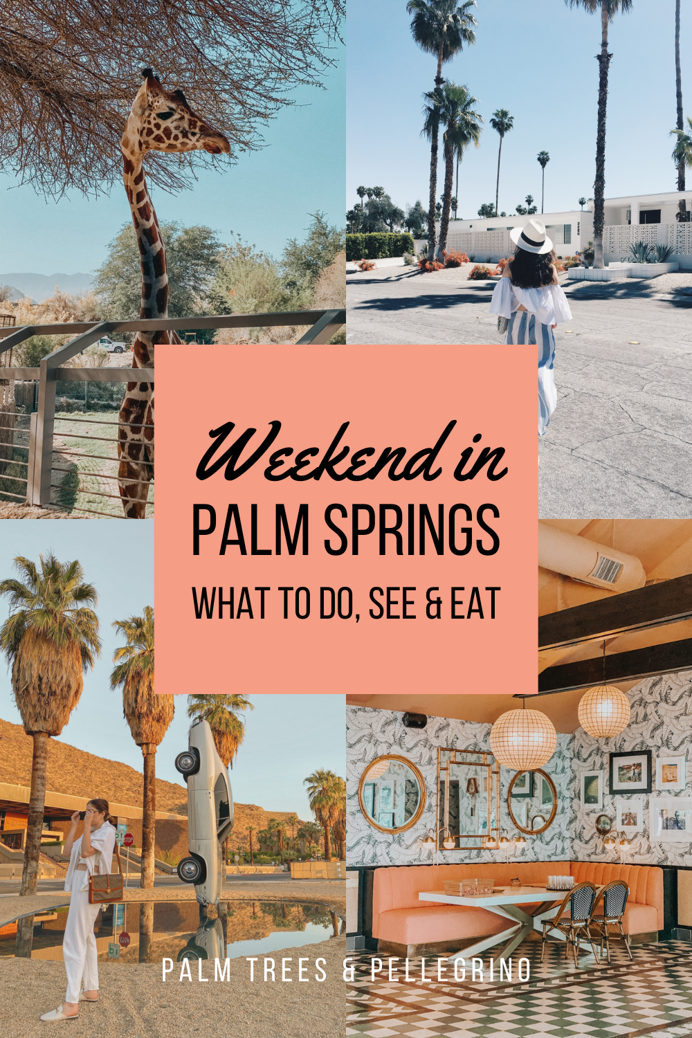 Things to do in Palm Springs, Weekend in Palm Springs guide - Palm Trees and Pellegrino California travel blog