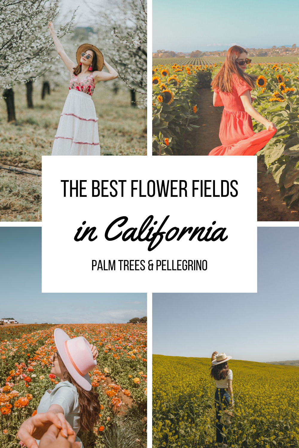 The best flower fields in California - Palm Trees & Pellegrino California travel tips