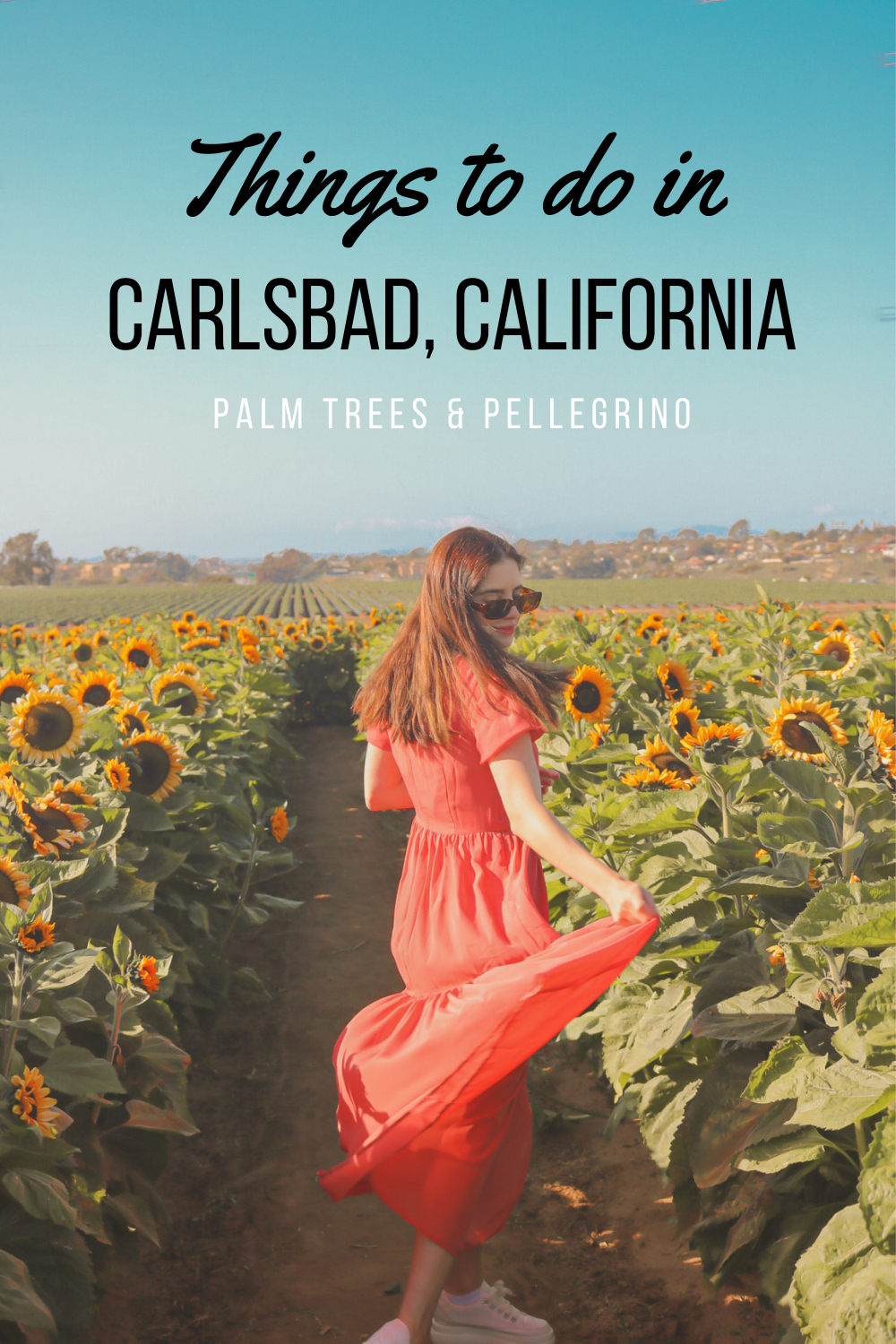 6 Things to do in Carlsbad, California