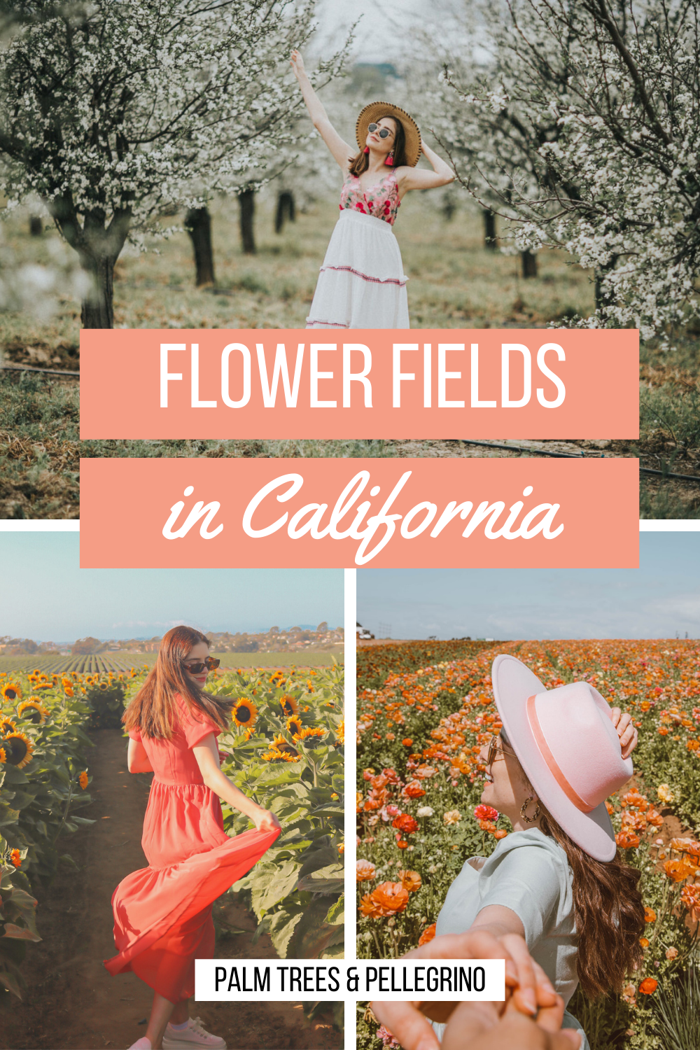 The best flower fields in California - Palm Trees & Pellegrino California travel tips