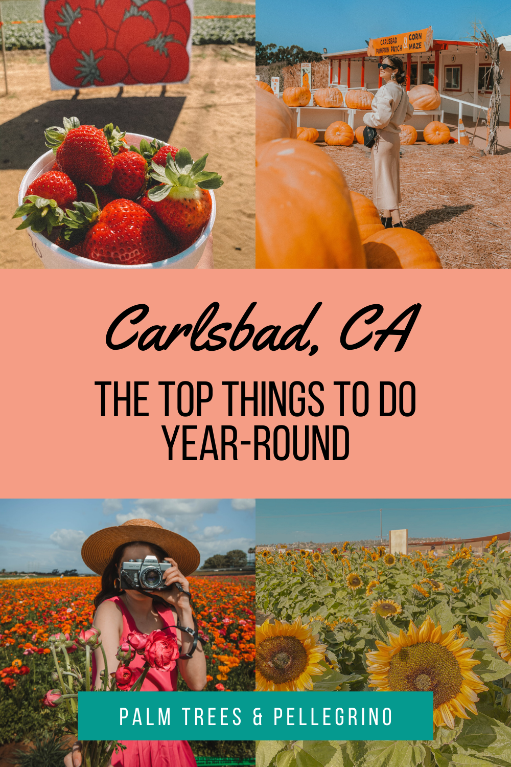 6 Things to do in Carlsbad, California