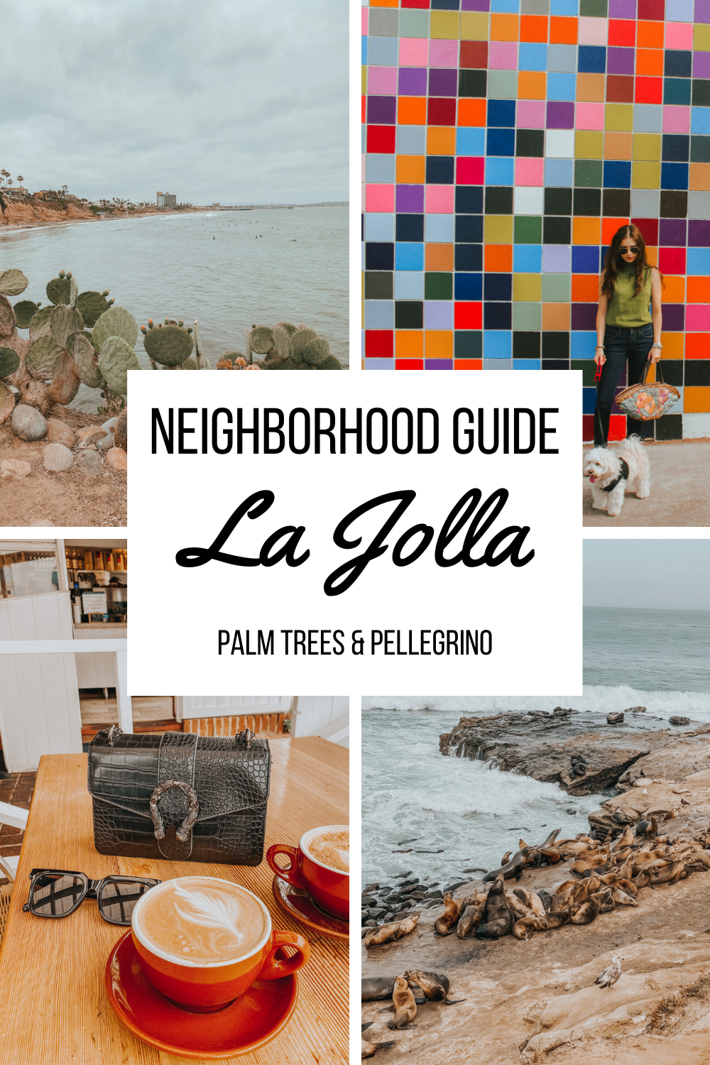 La Jolla Neighborhood Guide - Palm Trees and Pellegrino San Diego travel tips