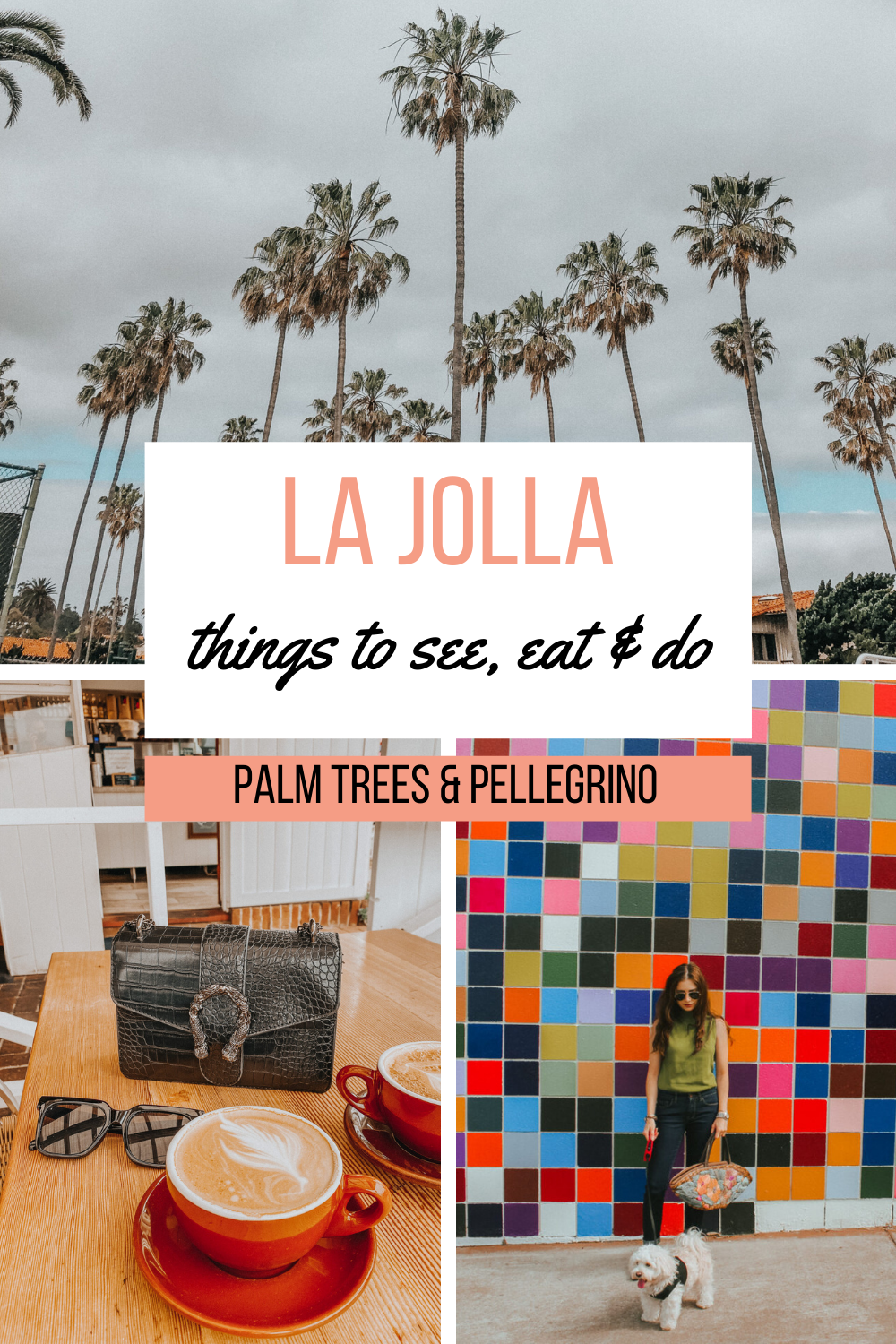 La Jolla Neighborhood Guide - Palm Trees and Pellegrino San Diego travel tips