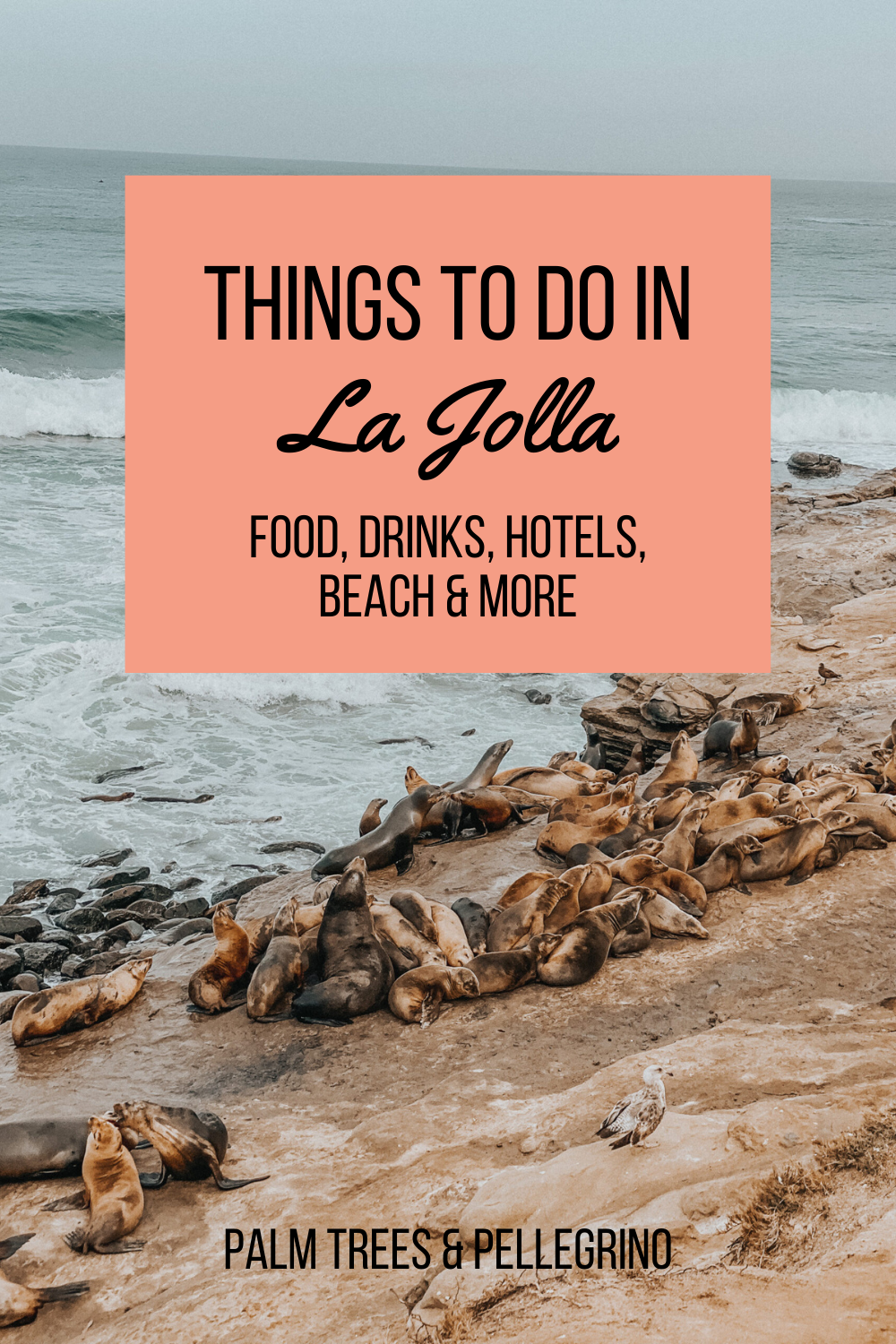 La Jolla Neighborhood Guide - Palm Trees and Pellegrino San Diego travel tips