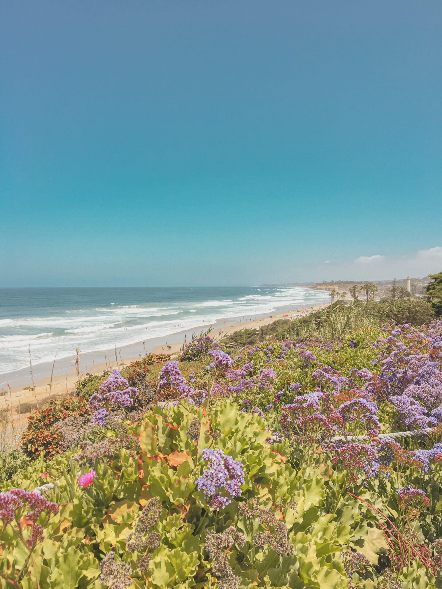 Best San Diego Beaches