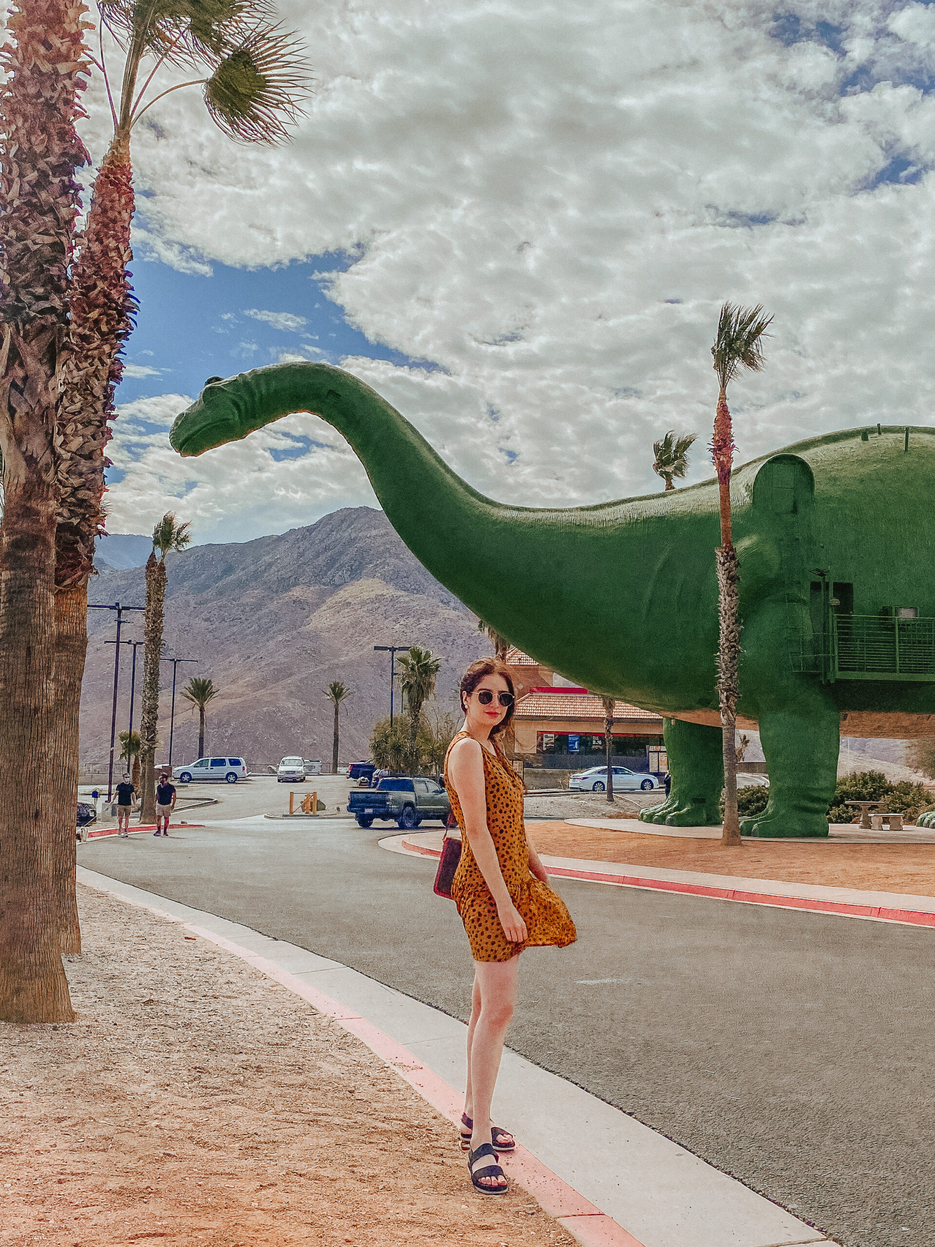 10 Most Instagrammable Places in Joshua Tree, California